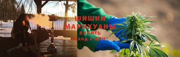 прущие грибы Арсеньев