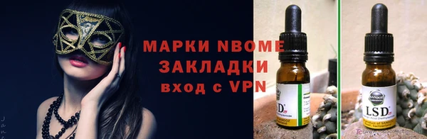 прущие грибы Арсеньев