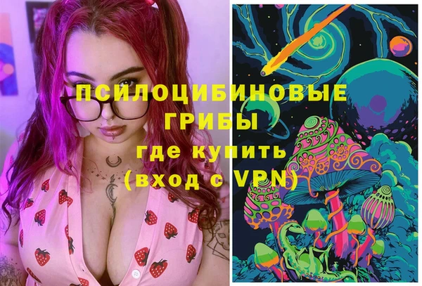 прущие грибы Арсеньев