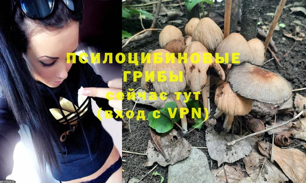 apvp Аркадак