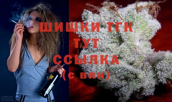 прущие грибы Арсеньев